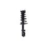 FCS Struts 1333471R Suspension Strut and Coil Spring Assembly