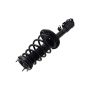 FCS Struts 1333471R Suspension Strut and Coil Spring Assembly