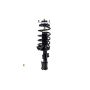 FCS Struts 1333472 Suspension Strut and Coil Spring Assembly