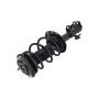FCS Struts 1333475R Suspension Strut and Coil Spring Assembly
