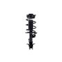 FCS Struts 1333476L Suspension Strut and Coil Spring Assembly