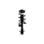 FCS Struts 1333476R Suspension Strut and Coil Spring Assembly