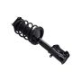 FCS Struts 1333488 Suspension Strut and Coil Spring Assembly