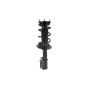 FCS Struts 1333489L Suspension Strut and Coil Spring Assembly