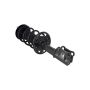 FCS Struts 1333489L Suspension Strut and Coil Spring Assembly