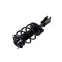FCS Struts 1333490 Suspension Strut and Coil Spring Assembly