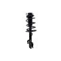 FCS Struts 1333491L Suspension Strut and Coil Spring Assembly