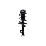 FCS Struts 1333491L Suspension Strut and Coil Spring Assembly
