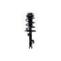 FCS Struts 1333491R Suspension Strut and Coil Spring Assembly