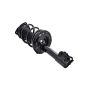 FCS Struts 1333491R Suspension Strut and Coil Spring Assembly