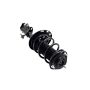 FCS Struts 1333493L Suspension Strut and Coil Spring Assembly
