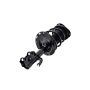 FCS Struts 1333493L Suspension Strut and Coil Spring Assembly