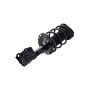 FCS Struts 1333494R Suspension Strut and Coil Spring Assembly