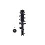 FCS Struts 1333497L Suspension Strut and Coil Spring Assembly