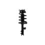 FCS Struts 1333503L Suspension Strut and Coil Spring Assembly