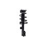 FCS Struts 1333506L Suspension Strut and Coil Spring Assembly