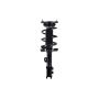 FCS Struts 1333506L Suspension Strut and Coil Spring Assembly