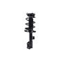 FCS Struts 1333506R Suspension Strut and Coil Spring Assembly