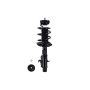 FCS Struts 1333507L Suspension Strut and Coil Spring Assembly