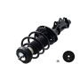 FCS Struts 1333507L Suspension Strut and Coil Spring Assembly