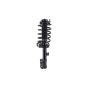 FCS Struts 1333508R Suspension Strut and Coil Spring Assembly