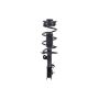 FCS Struts 1333511R Suspension Strut and Coil Spring Assembly