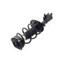 FCS Struts 1333511R Suspension Strut and Coil Spring Assembly