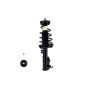 FCS Struts 1333514L Suspension Strut and Coil Spring Assembly