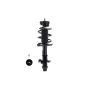 FCS Struts 1333523R Suspension Strut and Coil Spring Assembly