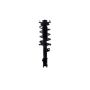 FCS Struts 1333532L Suspension Strut and Coil Spring Assembly