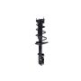 FCS Struts 1333533R Suspension Strut and Coil Spring Assembly