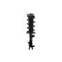 FCS Struts 1333534L Suspension Strut and Coil Spring Assembly