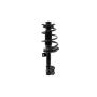FCS Struts 1333542L Suspension Strut and Coil Spring Assembly