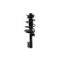 FCS Struts 1333542R Suspension Strut and Coil Spring Assembly