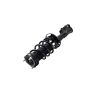 FCS Struts 1333547R Suspension Strut and Coil Spring Assembly