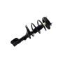 FCS Struts 1333557L Suspension Strut and Coil Spring Assembly