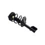 FCS Struts 1333557L Suspension Strut and Coil Spring Assembly
