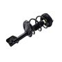 FCS Struts 1333557R Suspension Strut and Coil Spring Assembly