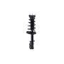 FCS Struts 1333562R Suspension Strut and Coil Spring Assembly