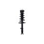 FCS Struts 1333562R Suspension Strut and Coil Spring Assembly