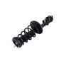 FCS Struts 1333562R Suspension Strut and Coil Spring Assembly