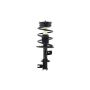 FCS Struts 1333565L Suspension Strut and Coil Spring Assembly