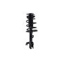 FCS Struts 1333566L Suspension Strut and Coil Spring Assembly