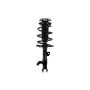 FCS Struts 1333567L Suspension Strut and Coil Spring Assembly