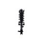 FCS Struts 1333568L Suspension Strut and Coil Spring Assembly