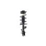 FCS Struts 1333572L Suspension Strut and Coil Spring Assembly