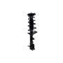 FCS Struts 1333582L Suspension Strut and Coil Spring Assembly
