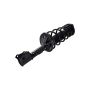 FCS Struts 1333582L Suspension Strut and Coil Spring Assembly