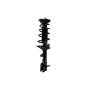 FCS Struts 1333582R Suspension Strut and Coil Spring Assembly