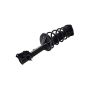 FCS Struts 1333582R Suspension Strut and Coil Spring Assembly
